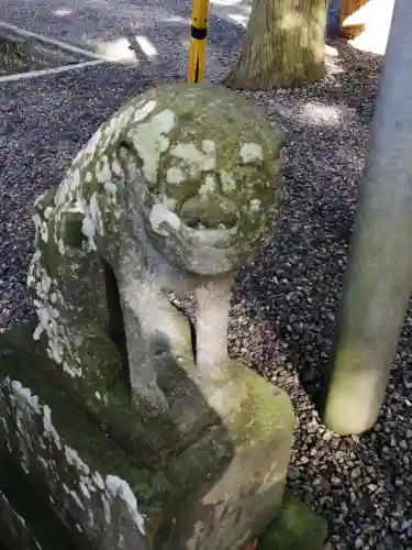 間々田八幡宮の狛犬