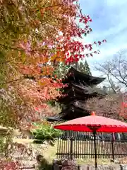 新海三社神社(長野県)