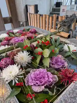 高円寺氷川神社(東京都)