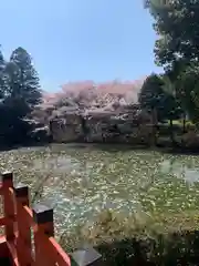 高鴨神社(奈良県)