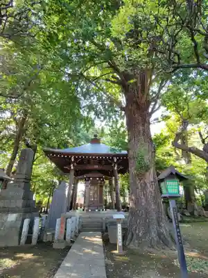 長命寺のその他建物