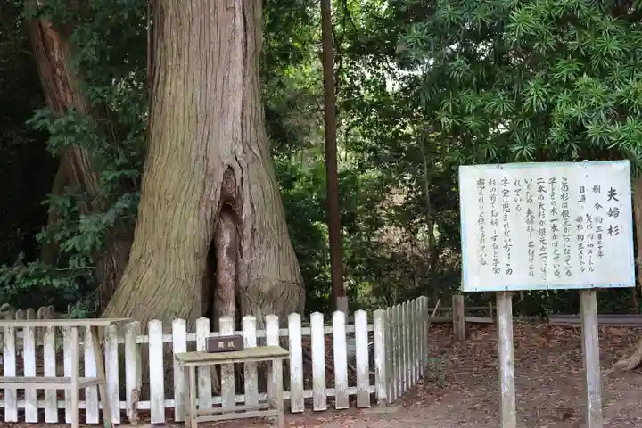 鎌数伊勢大神宮(千葉県)