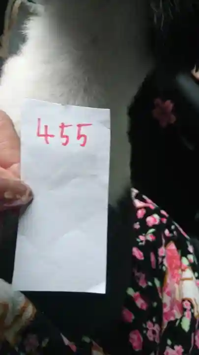 鶴峯八幡宮(千葉県)