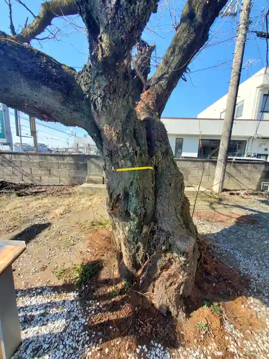 二石稲荷神社(栃木県)