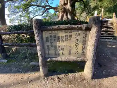 蒲生八幡神社のその他建物