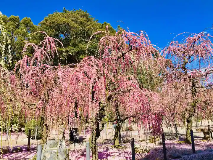 結城神社(三重県)