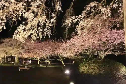 三宝院（三宝院門跡）の自然