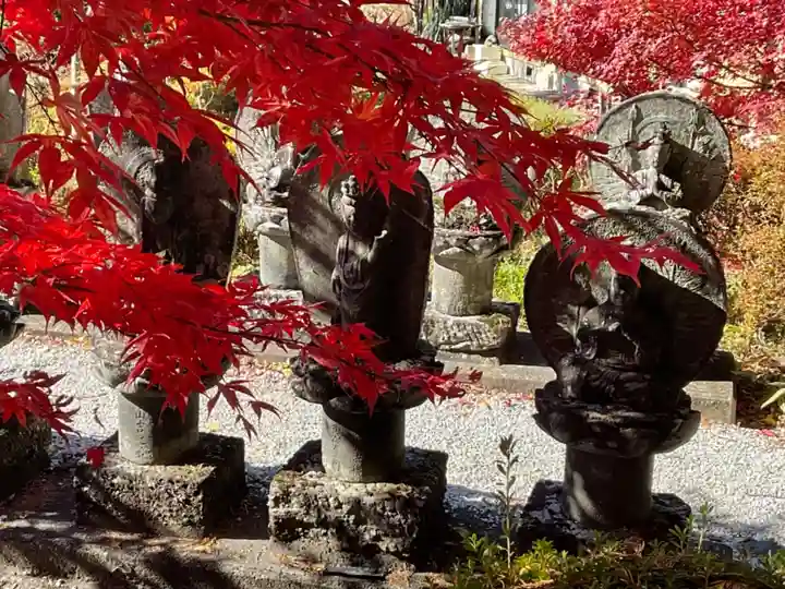 長圓寺(長野県)