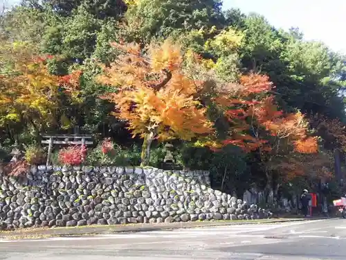 幡稲荷五桂大神社の自然