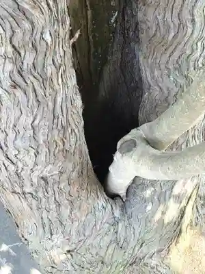 由加神社（和気由加神社）(岡山県)