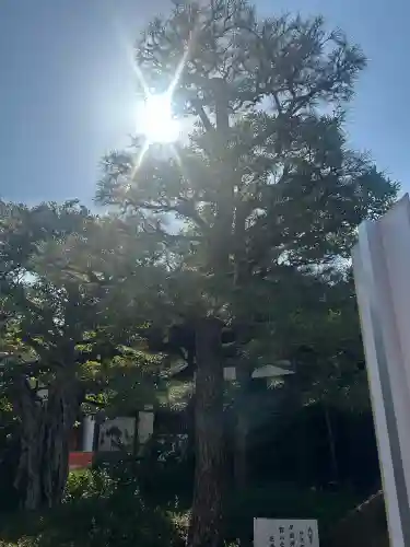 伏見稲荷大社の{uncategorized: "未分類", other: "その他", undefined: "問題あり", building: "その他建物", grave: "お墓", sacred_gate: "鳥居", guardian: "狛犬", statue: "像", buddha: "仏像", history: "歴史", nature: "自然", garden: "庭園", animal: "動物", pagoda: "塔", temizu: "手水舎", mountain_gate: "山門・神門", sanctuary: "本殿・本堂", subordinate: "末社・摂社", art: "芸術", scenery: "景色", jizo: "地蔵", ema: "絵馬", goshuin: "御朱印", omikuji: "おみくじ", items: "授与品その他", amulet: "お守り", goshuincho: "御朱印帳", eats: "食事", festival: "お祭り", votive_dance: "神楽", shichigosan: "七五三参", wedding: "結婚式", experience: "体験その他", initially: "初詣", around: "周辺", anti_infection: "感染症対策"}