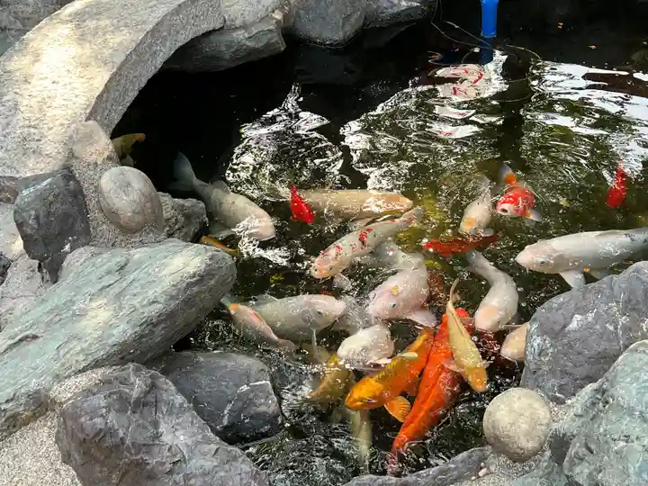 尾張猿田彦神社の動物