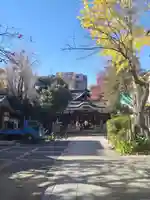 鳥越神社(東京都)