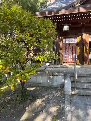 若宮八幡社(愛知県)