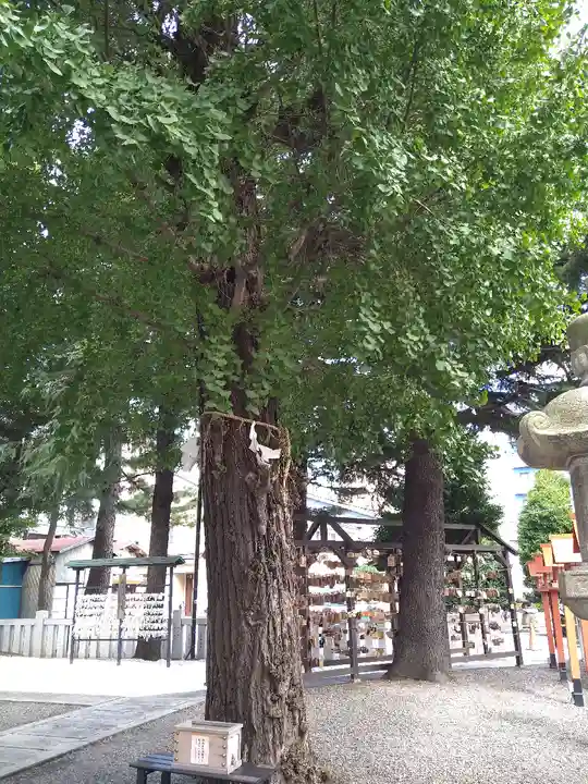 草加神社の自然