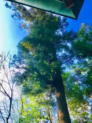 伊保田神社(茨城県)