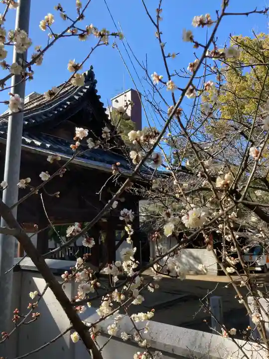 三津厳島神社の自然