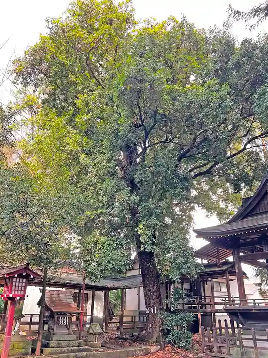 菅田天神社(山梨県)