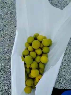 長福寺(東京都)