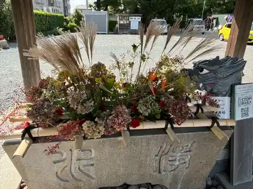 大歳神社(静岡県)