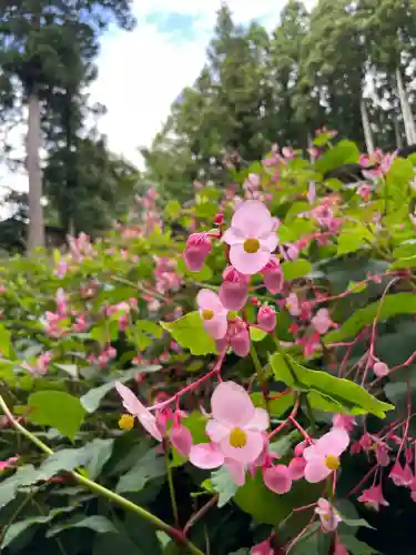 大雄寺(栃木県)