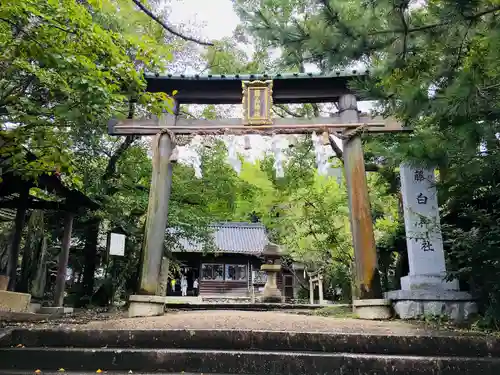 藤白神社の鳥居