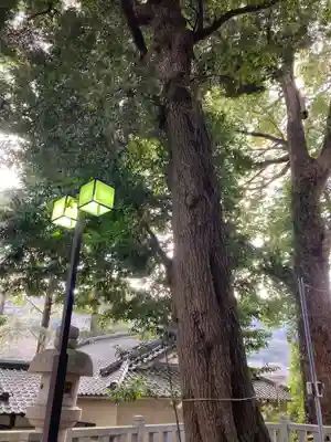 五郎神社(神奈川県)