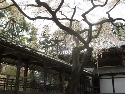 十輪寺のその他建物