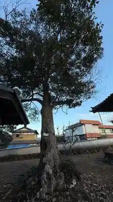 天満神社(兵庫県)