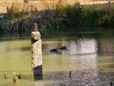 龍泉寺(大阪府)