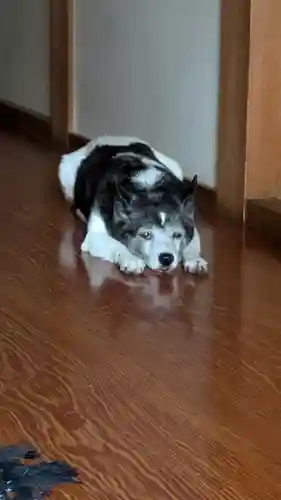 智光院(京都府)