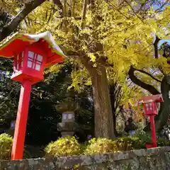 神炊館神社 ⁂奥州須賀川総鎮守⁂の景色