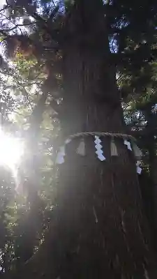 高尾山薬王院のその他建物