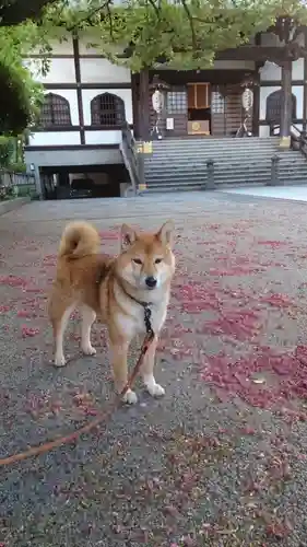 感通寺(東京都)