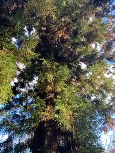 八幡神社(福島県)