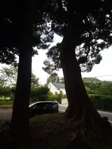 鳥見神社の自然