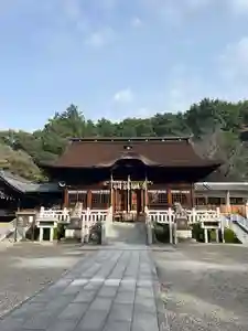 手力雄神社(岐阜県)(2024年11月10日(日) 09時46分20秒投稿)