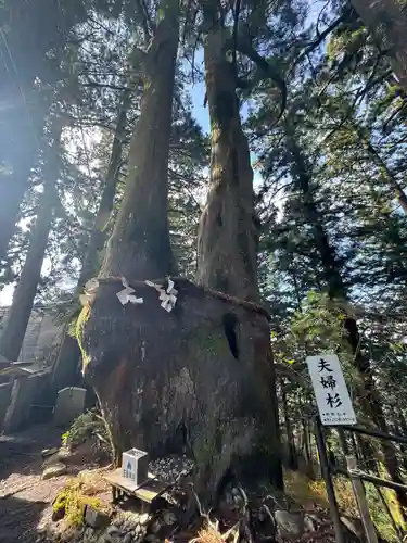 玉置神社(奈良県)