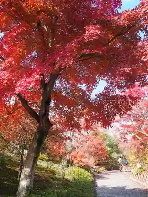 天龍寺(京都府)