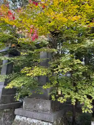 諏訪大社下社秋宮(長野県)