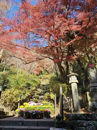 長谷寺の建物その他