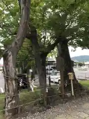 生島足島神社の自然