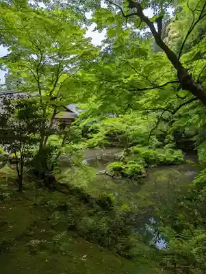 南禅院(京都府)