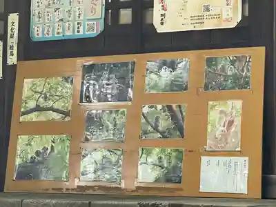 野木神社(栃木県)