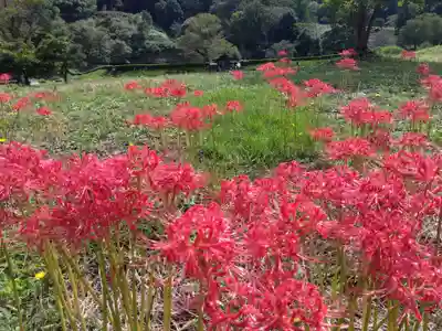 朝倉神社(福井県)