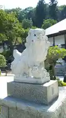 龍泰院の狛犬