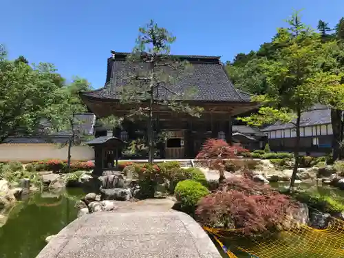 國泰寺の庭園