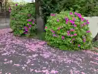 勝国寺(東京都)