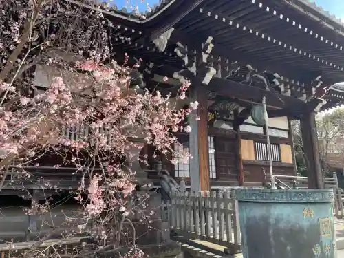妙蓮寺の{uncategorized: "未分類", other: "その他", undefined: "問題あり", building: "その他建物", grave: "お墓", sacred_gate: "鳥居", guardian: "狛犬", statue: "像", buddha: "仏像", history: "歴史", nature: "自然", garden: "庭園", animal: "動物", pagoda: "塔", temizu: "手水舎", mountain_gate: "山門・神門", sanctuary: "本殿・本堂", subordinate: "末社・摂社", art: "芸術", scenery: "景色", jizo: "地蔵", ema: "絵馬", goshuin: "御朱印", omikuji: "おみくじ", items: "授与品その他", amulet: "お守り", goshuincho: "御朱印帳", eats: "食事", festival: "お祭り", votive_dance: "神楽", shichigosan: "七五三参", wedding: "結婚式", experience: "体験その他", initially: "初詣", around: "周辺", anti_infection: "感染症対策"}