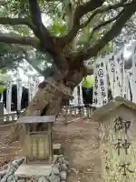 龍口明神社の{uncategorized: "未分類", other: "その他", undefined: "問題あり", building: "その他建物", grave: "お墓", sacred_gate: "鳥居", guardian: "狛犬", statue: "像", buddha: "仏像", history: "歴史", nature: "自然", garden: "庭園", animal: "動物", pagoda: "塔", temizu: "手水舎", mountain_gate: "山門・神門", sanctuary: "本殿・本堂", subordinate: "末社・摂社", art: "芸術", scenery: "景色", jizo: "地蔵", ema: "絵馬", goshuin: "御朱印", omikuji: "おみくじ", items: "授与品その他", amulet: "お守り", goshuincho: "御朱印帳", eats: "食事", festival: "お祭り", votive_dance: "神楽", shichigosan: "七五三参", wedding: "結婚式", experience: "体験その他", initially: "初詣", around: "周辺", anti_infection: "感染症対策"}
